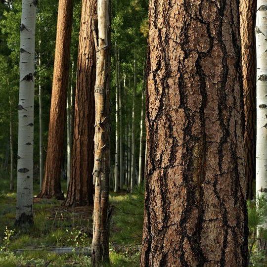 hike_0913_n_lookout121.jpg hike_0913_n_lookout121.jpg