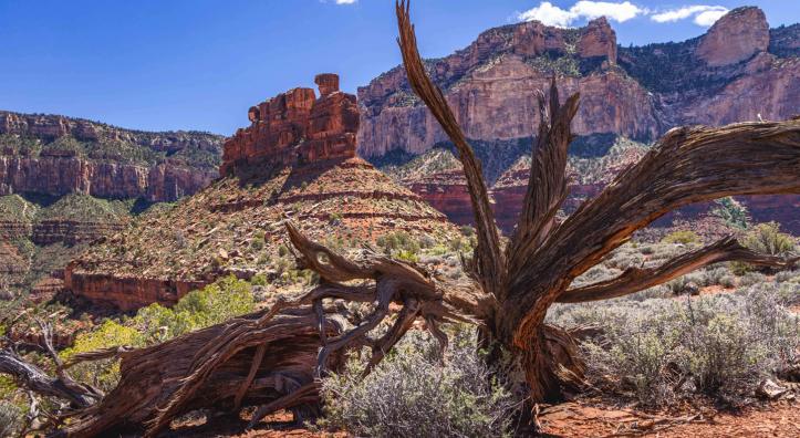 Battleship in the Grand Canyon