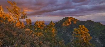 Sunlight breaks through monsoon clouds seen from Carr Peak in the Huachuca Mountains of southern Arizona. By Laurence Parent